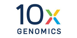 10x Science