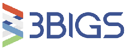 3BIGS logo