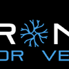 Neurons4vet.ai logo