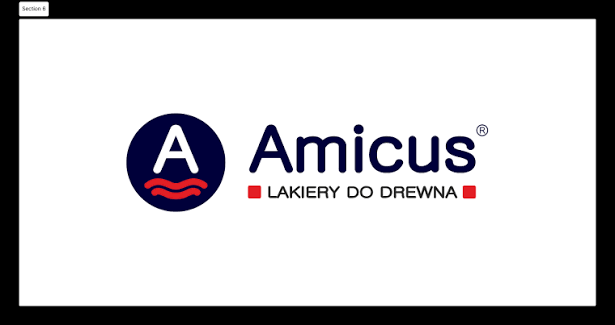 AMICUS SA