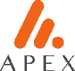 APEX GROUP LLC