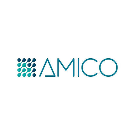 Amico Group