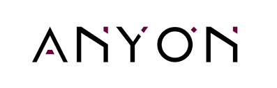 Anyon Systems