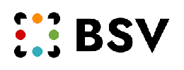 BSV Ventures