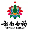 Baiyao Technology