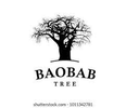 Baobab