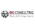 Big Consultancy