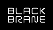 Black Brane Systems