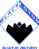 Black Lotus Quantum Ventures
