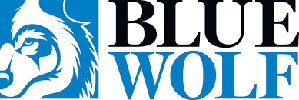 Blue Fog Capital logo