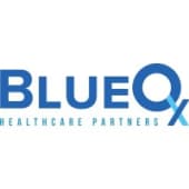 Blue Ox Healthcare Partners