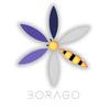 Borago Insights