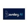 Boundary Intelligent Control