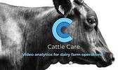 Cattle Care