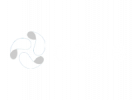 DOCLE AI