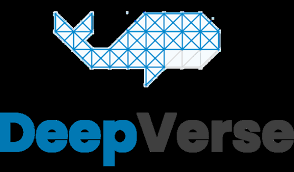 DeepVerse