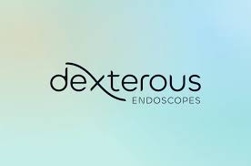 Dexterous Endoscopes