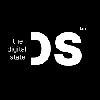 Digital States logo