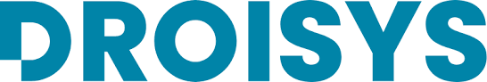 Droisys logo