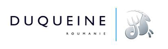 Duqueine Group