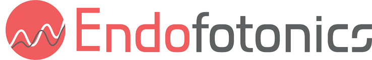 Endofotonics