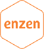 Enzen Global Solutions