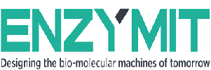 Enzymit