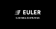 Euler Motors