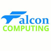 Falcon Computing Solutions