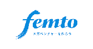 Femto Partners