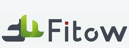 Fitow logo