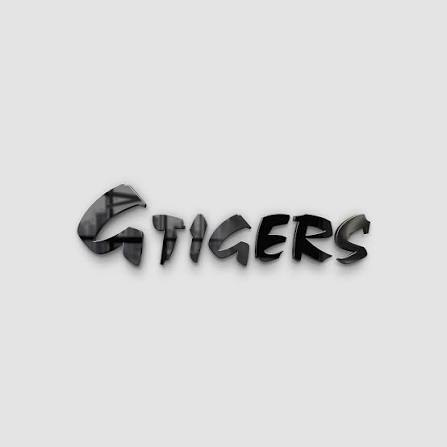 GTigers Martial Arts & Fitness