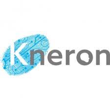 Kneron