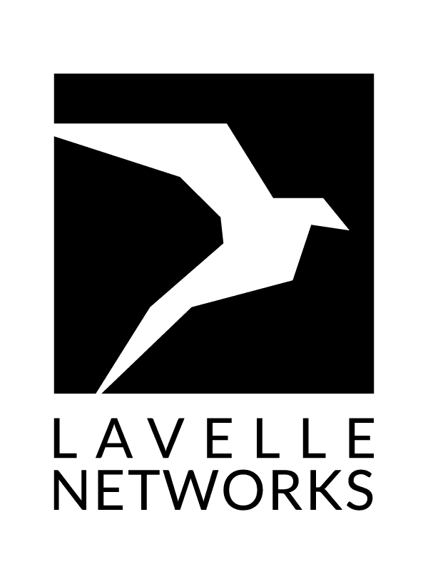 Lavelle Networks