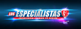 Los especialistas