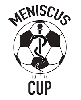 Meniscus