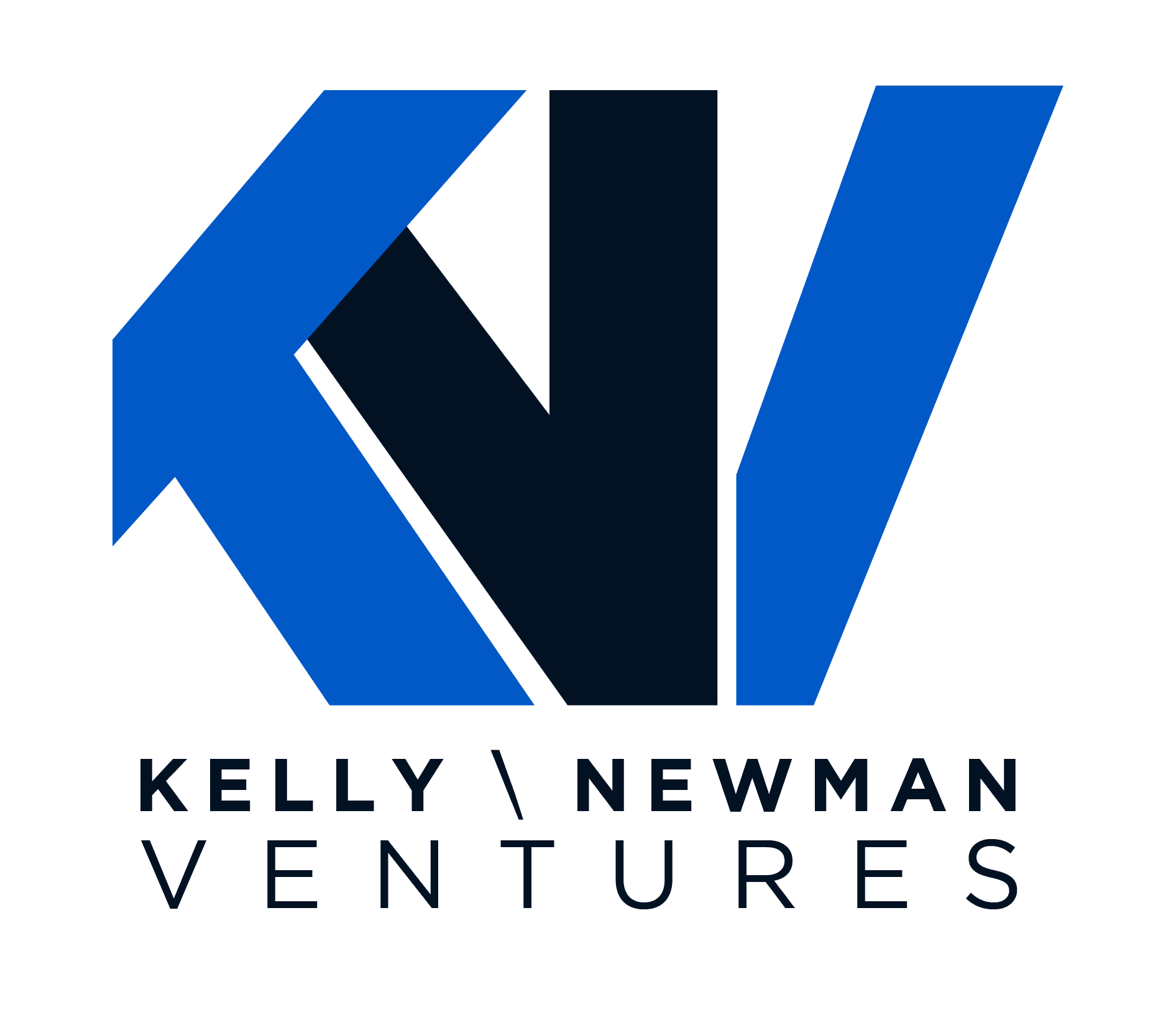 Mike Kelly  CEO and CoFounder @ Kelly Newman Ventures