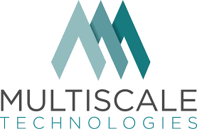 Multiscale AI