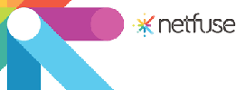 Netfuse Telecom logo