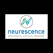 Neurescence