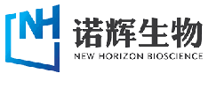 New Horizon Health