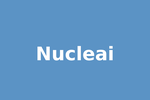 Nucleai