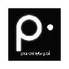 Parametry.ai logo