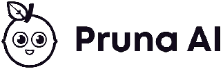 Pruna AI