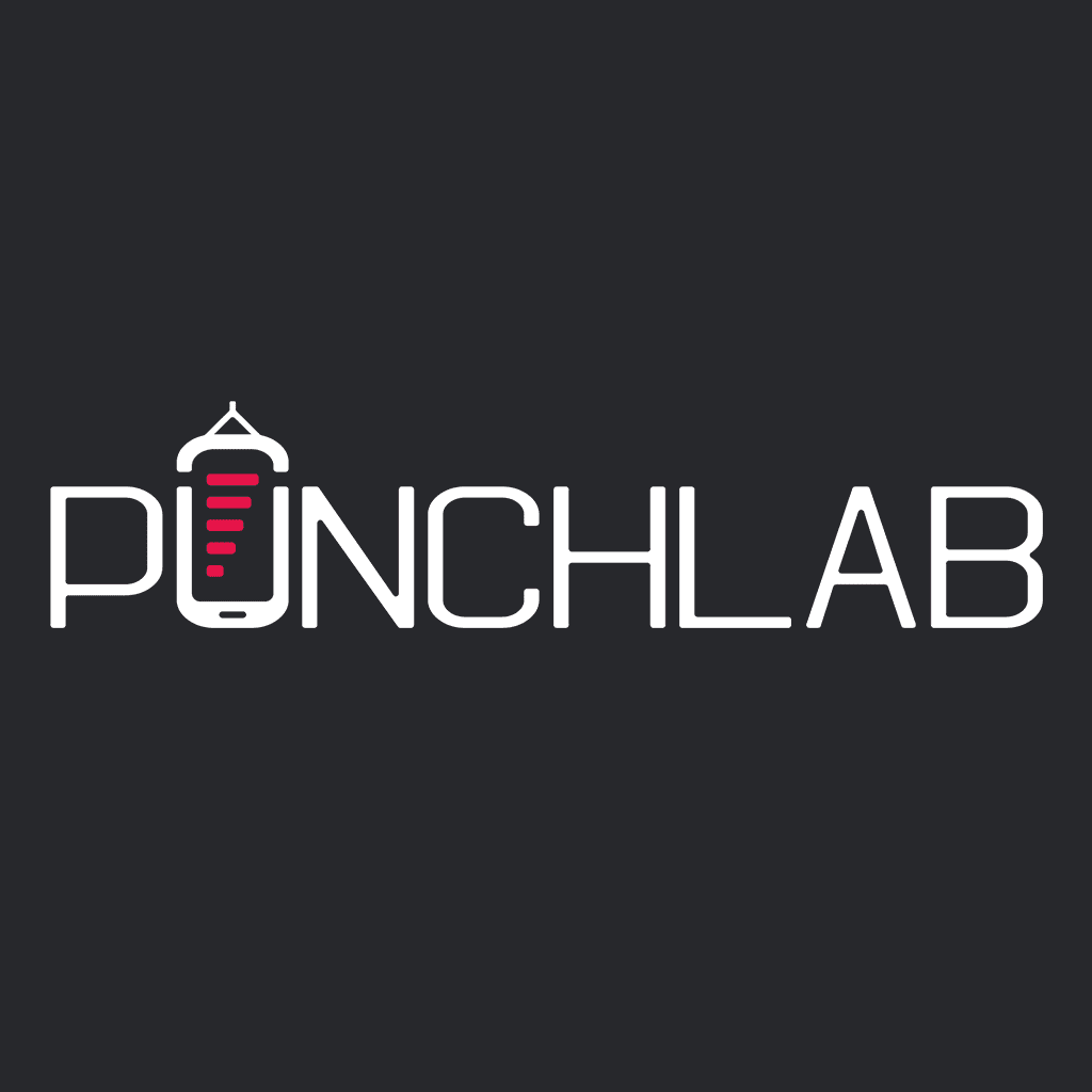 PunchLab