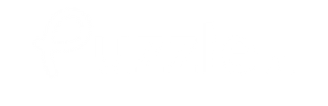 Puzzle AI