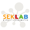 SEK Lab EdTech Accelerator logo