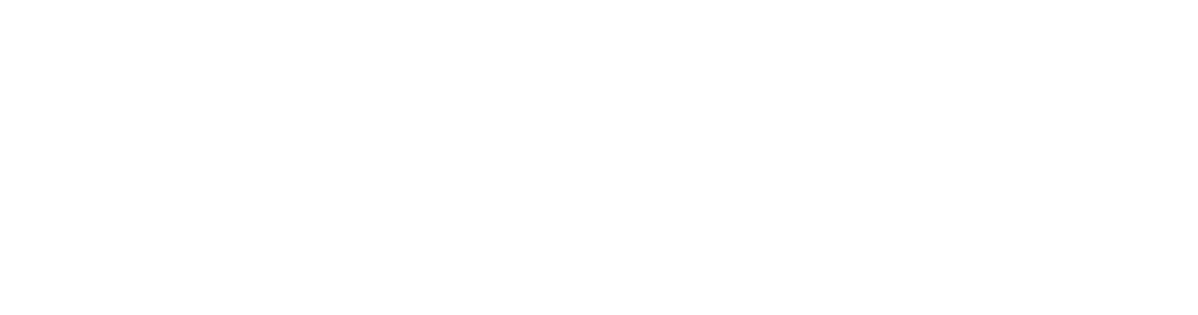 Seed & Speed Ventures