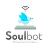 Soulbot Automation Agency logo