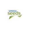 Spring SEEDS Capital